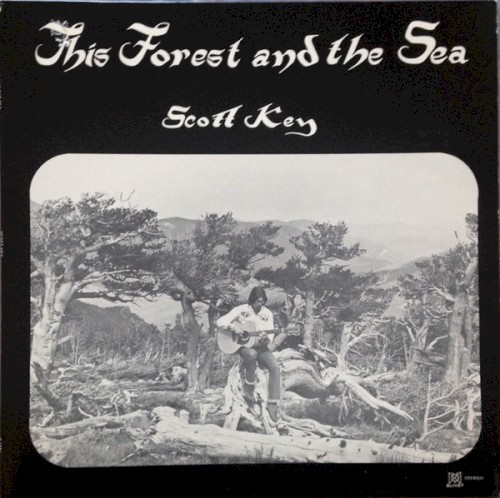 This Forest And The Sea