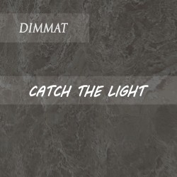 Catch the Light