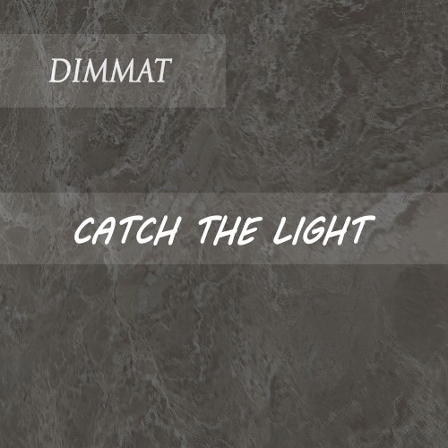 Catch the Light