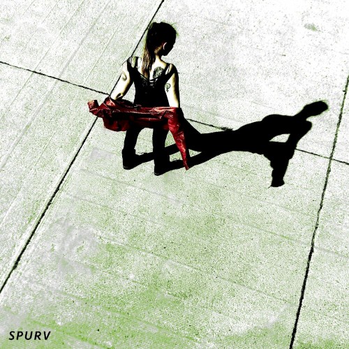 Spurv