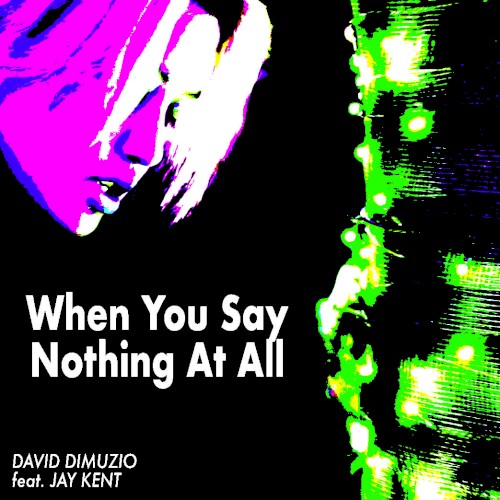 When You Say Nothing at All