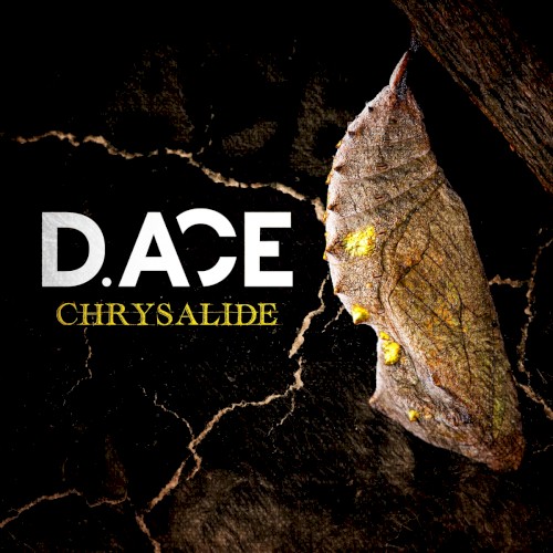 Chrysalide