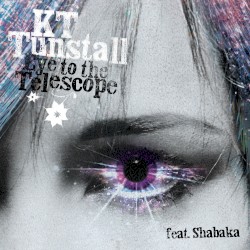 Eye to the Telescope