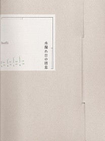 木漏れ日の消息