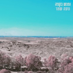 נפגש בקצה