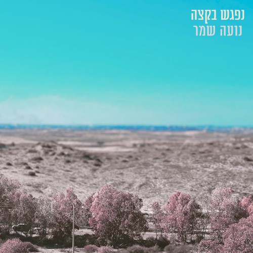 נפגש בקצה