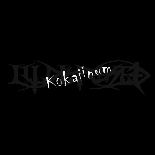 Kokaiinum