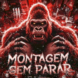 MONTAGEM SEM PARAR