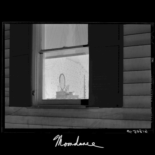 Moondance