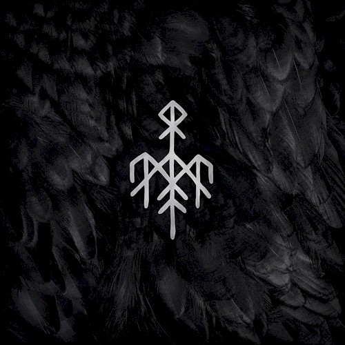 Kvitravn