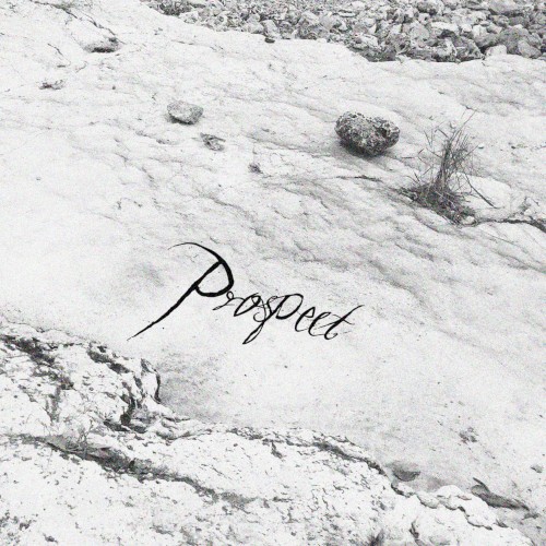 Prospect