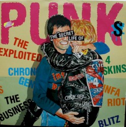 The Secret Life of Punks