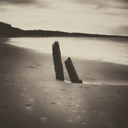 The Shape of Becoming