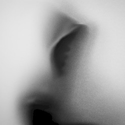 wasted shadow