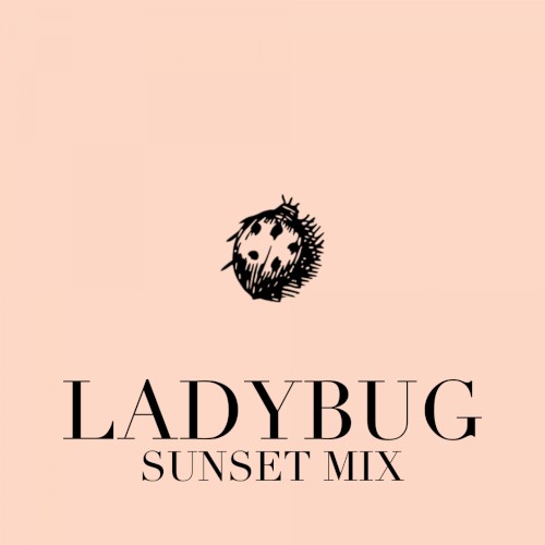 Ladybug