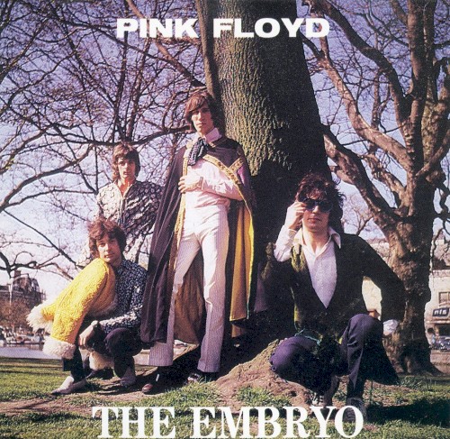 The Embryo