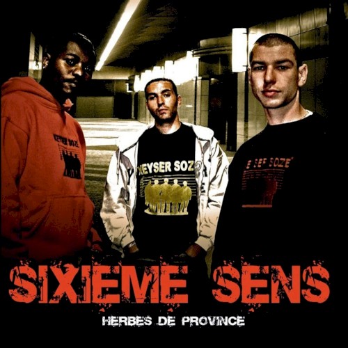 Herbes de province