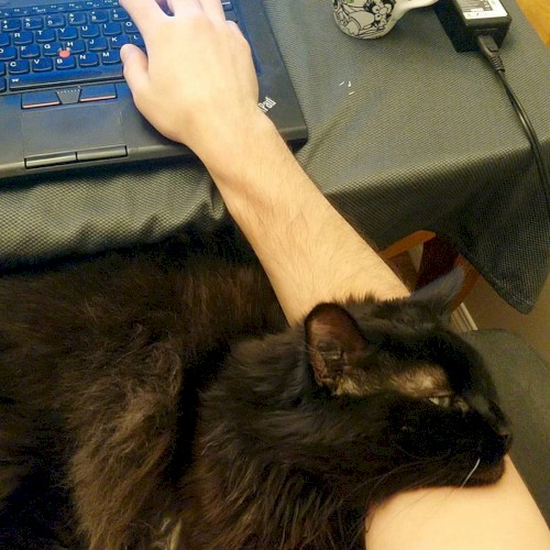 Kiko