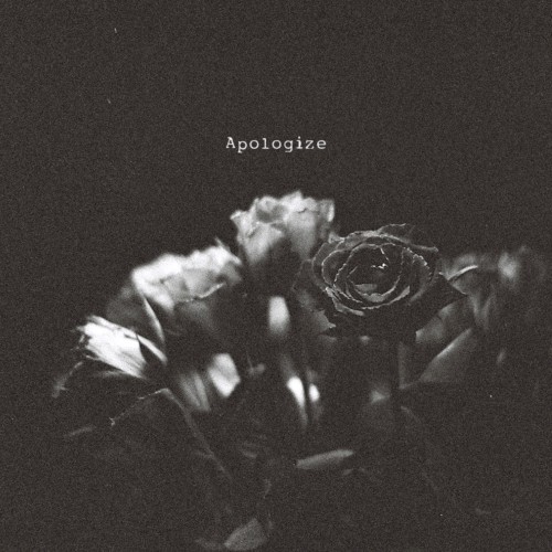 Apologize
