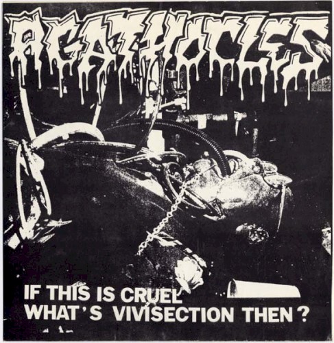 If This Is Cruel What's Vivisection Then?