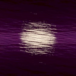 Dreams