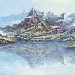 Reflections
