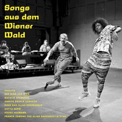 Songs aus dem Wiener Wald