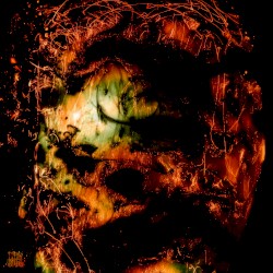 Head Fuse
