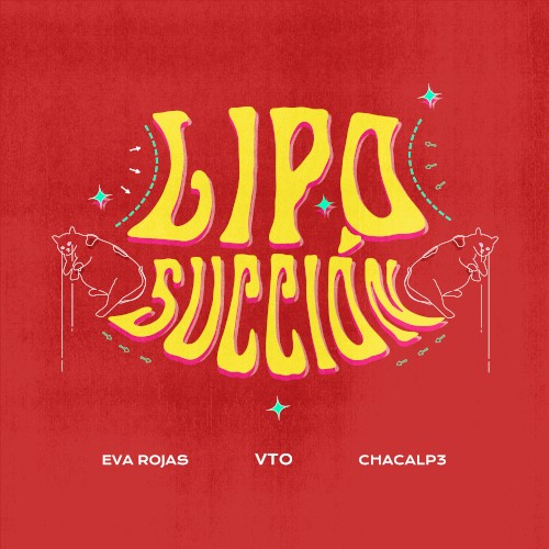 Liposucción