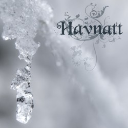 Spor i snø