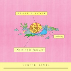 Nothing Is Forever (Yuksek Remix)