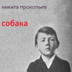 Собака
