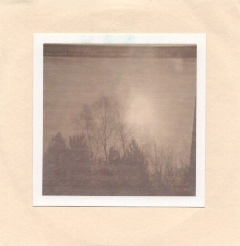Light in the Warm