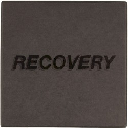 Recovery
