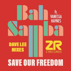 Save Our Freedom (Dave Lee Mixes)