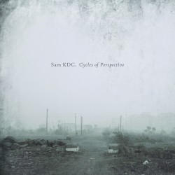 Cycles of Perspective
