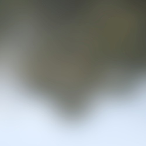 Dreamlight