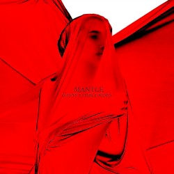 Mantle (Danny L Harle remix)