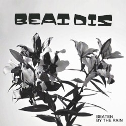 Beaten by the Rain