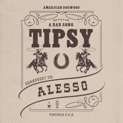 A Bar Song (Tipsy) (remix)