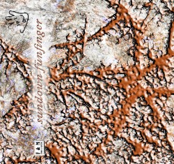 FM121: Fünfinger