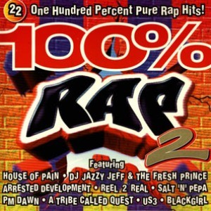 100% Rap Hits, Volume 2