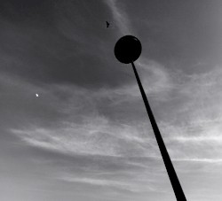 Runglers
