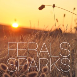 Sparks