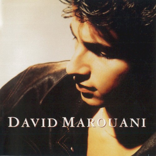David Marouani