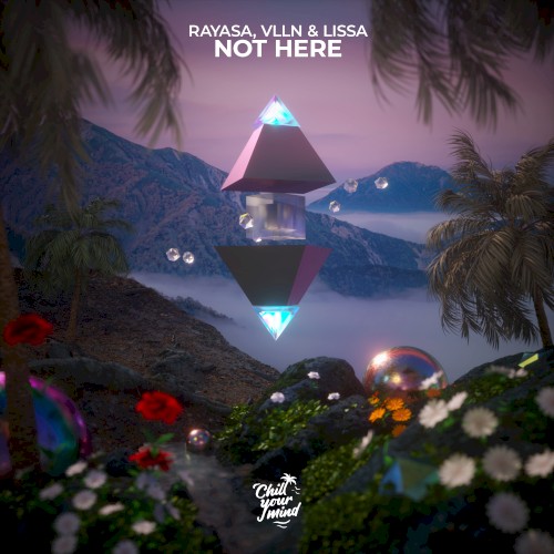 Not Here