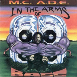In The Arms Of Bass