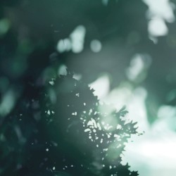 Downpours + Respites