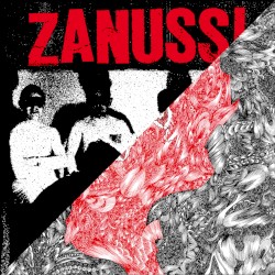 Zanussi/Atomizador Split EP