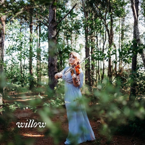 Willow (The Enchanted Forest Violin Cover) [remastered 2022]